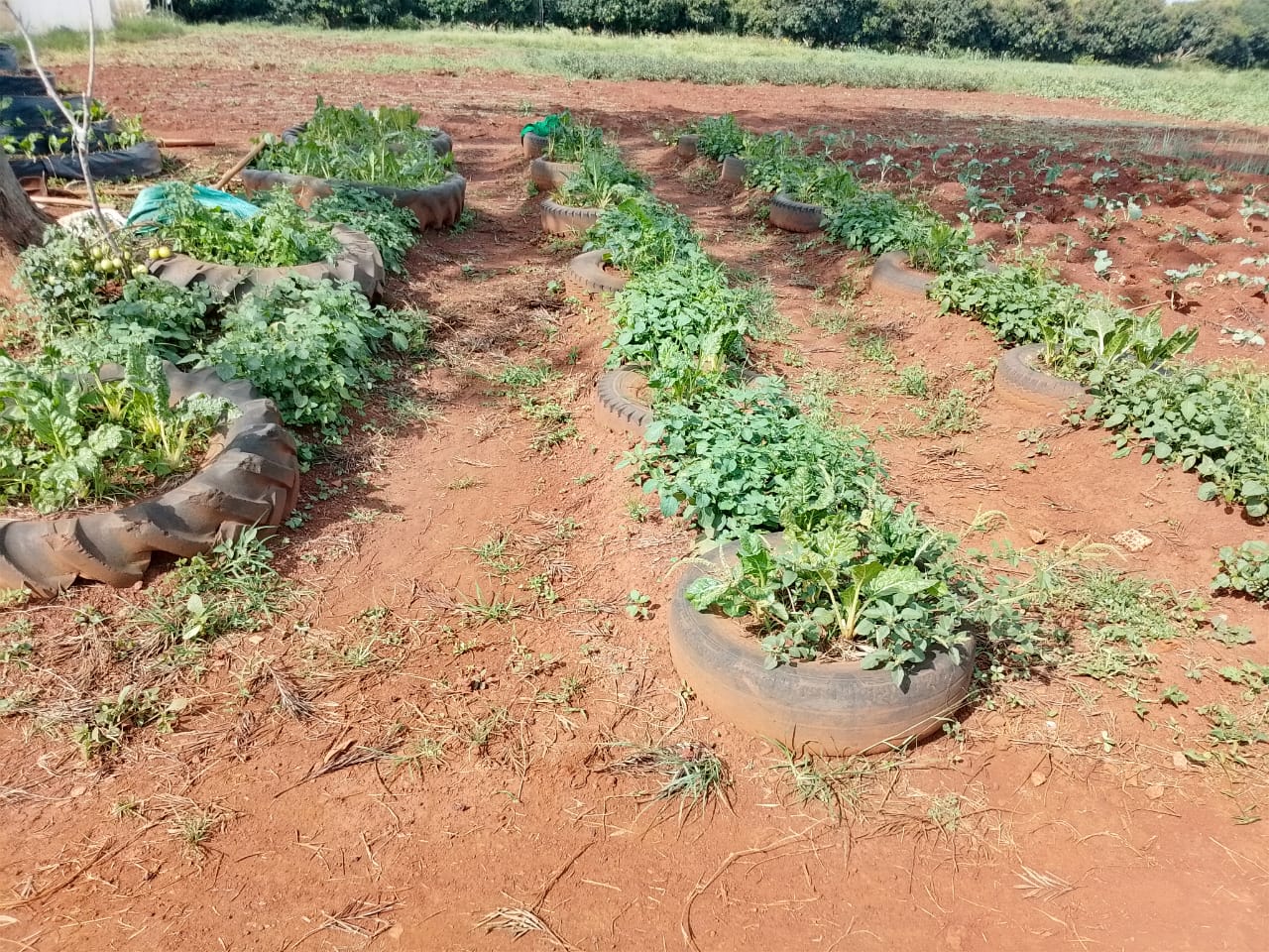 AYCP Education Program